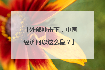 外部冲击下，中国经济何以这么稳？