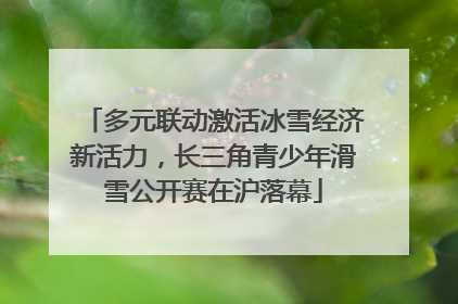 多元联动激活冰雪经济新活力，长三角青少年滑雪公开赛在沪落幕