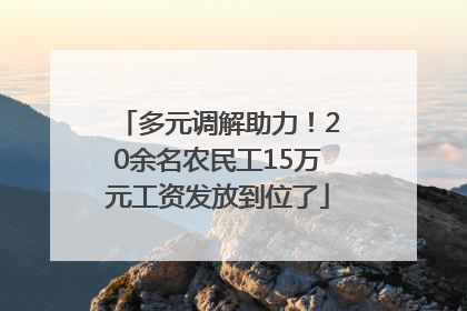 多元调解助力！20余名农民工15万元工资发放到位了