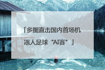 多图直击国内首场机器人足球“AI赛”