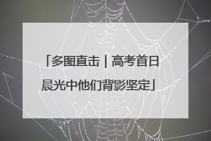 多图直击｜高考首日 晨光中他们背影坚定