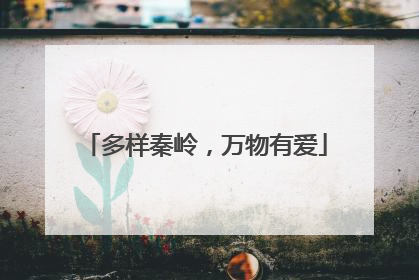 多样秦岭，万物有爱