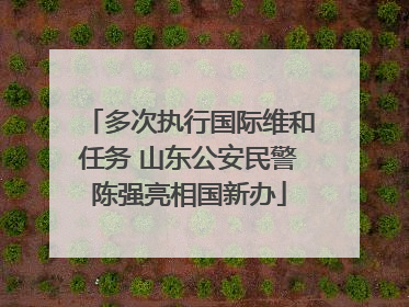 多次执行国际维和任务 山东公安民警陈强亮相国新办