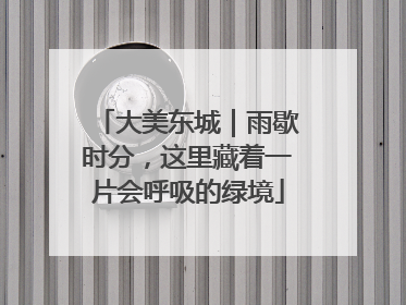 大美东城｜雨歇时分，这里藏着一片会呼吸的绿境
