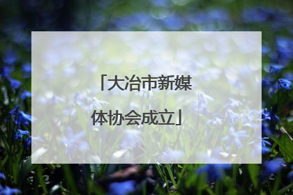 大冶市新媒体协会成立