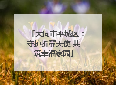 大同市平城区：守护折翼天使 共筑幸福家园