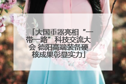 大国重器亮相“一带一路”科技交流大会 德阳高端装备硬核成果彰显实力