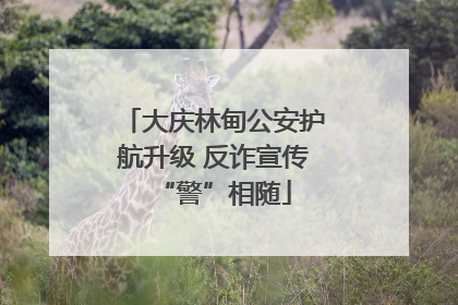 大庆林甸公安护航升级 反诈宣传“警”相随