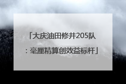 大庆油田修井205队：毫厘精算创效益标杆