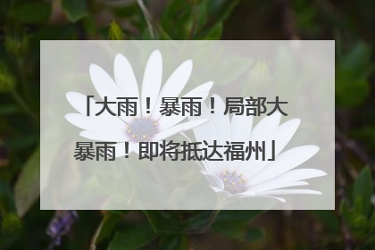 大雨！暴雨！局部大暴雨！即将抵达福州