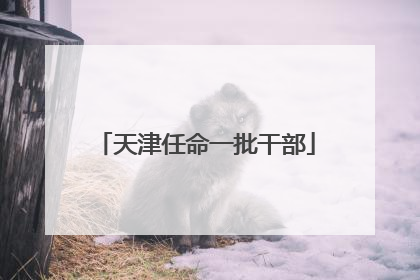 天津任命一批干部