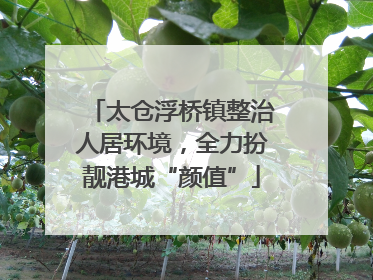 太仓浮桥镇整治人居环境，全力扮靓港城“颜值”