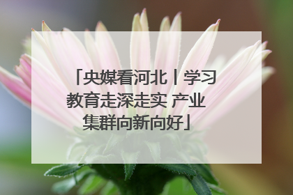 央媒看河北丨学习教育走深走实 产业集群向新向好