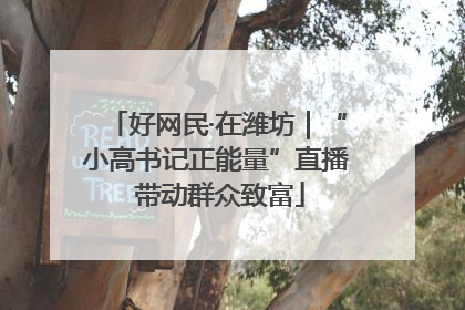 好网民·在潍坊｜“小高书记正能量”直播 带动群众致富