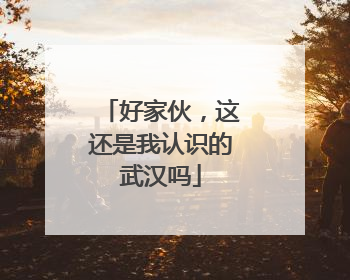 好家伙，这还是我认识的武汉吗