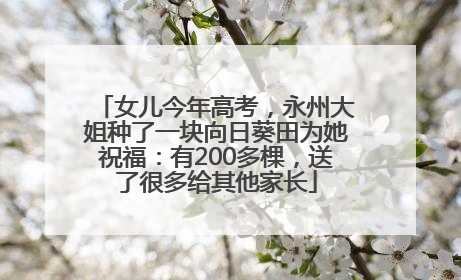 女儿今年高考，永州大姐种了一块向日葵田为她祝福：有200多棵，送了很多给其他家长