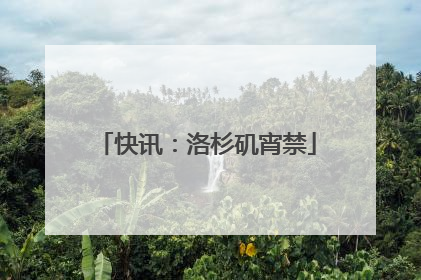 快讯：洛杉矶宵禁