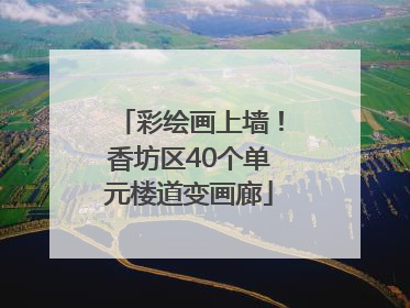 彩绘画上墙！香坊区40个单元楼道变画廊