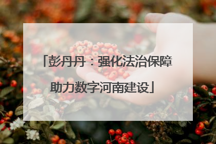 彭丹丹：强化法治保障 助力数字河南建设