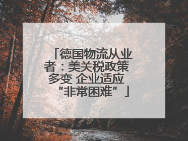 德国物流从业者：美关税政策多变 企业适应“非常困难”