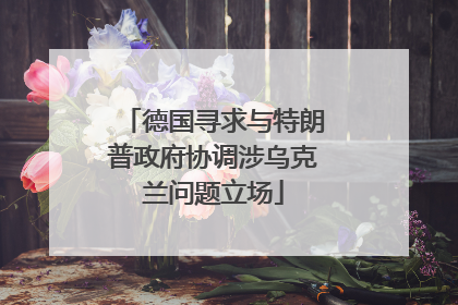 德国寻求与特朗普政府协调涉乌克兰问题立场