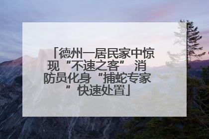德州一居民家中惊现“不速之客” 消防员化身“捕蛇专家”快速处置