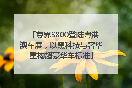 尊界S800登陆粤港澳车展，以黑科技与奢华重构超豪华车标准