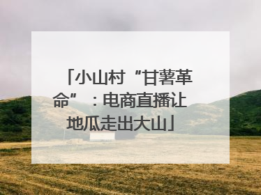 小山村“甘薯革命”：电商直播让地瓜走出大山