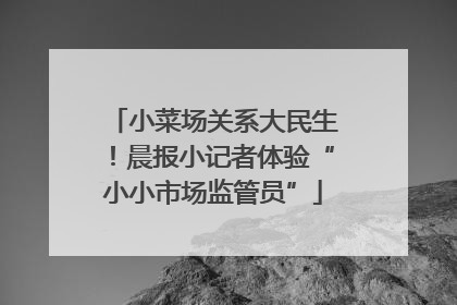 小菜场关系大民生！晨报小记者体验“小小市场监管员”
