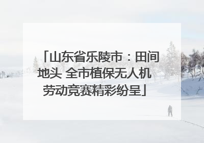 山东省乐陵市：田间地头 全市植保无人机劳动竞赛精彩纷呈
