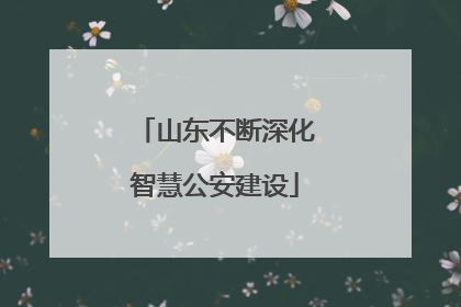 山东不断深化智慧公安建设