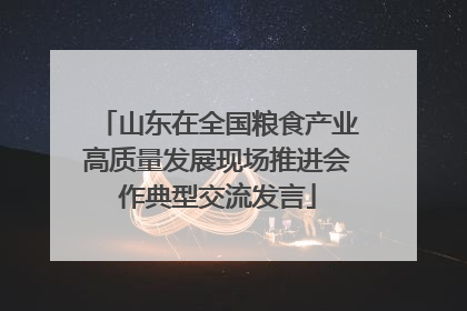 山东在全国粮食产业高质量发展现场推进会作典型交流发言