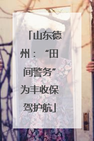 山东德州：“田间警务”为丰收保驾护航