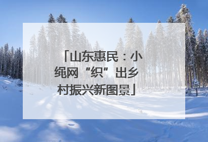山东惠民：小绳网“织”出乡村振兴新图景