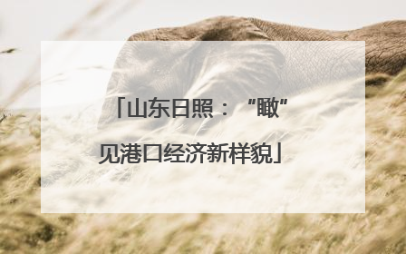 山东日照：“瞰”见港口经济新样貌