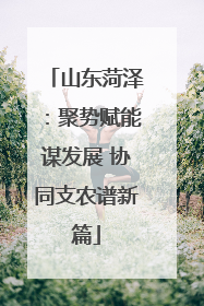 山东菏泽：聚势赋能谋发展 协同支农谱新篇