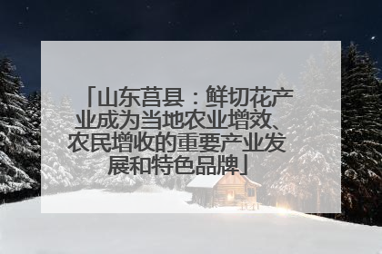 山东莒县：鲜切花产业成为当地农业增效、农民增收的重要产业发展和特色品牌