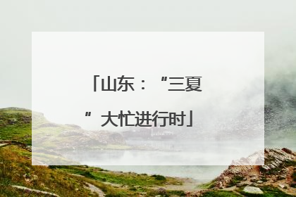 山东：“三夏”大忙进行时