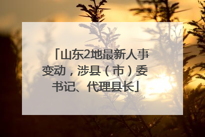 山东2地最新人事变动，涉县（市）委书记、代理县长