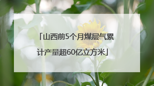 山西前5个月煤层气累计产量超60亿立方米