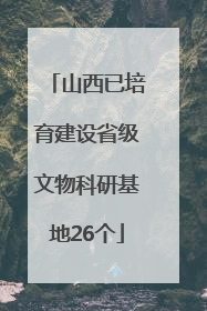 山西已培育建设省级文物科研基地26个