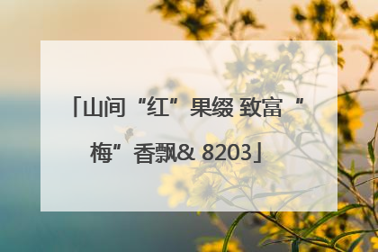 山间“红”果缀 致富“梅”香飘& 8203