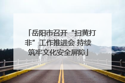 岳阳市召开“扫黄打非”工作推进会 持续筑牢文化安全屏障