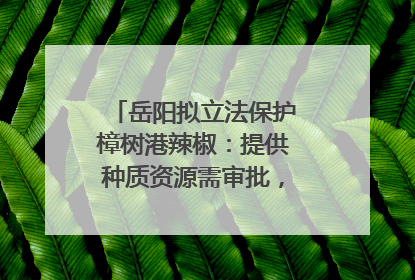 岳阳拟立法保护樟树港辣椒：提供种质资源需审批，违规最高罚5万