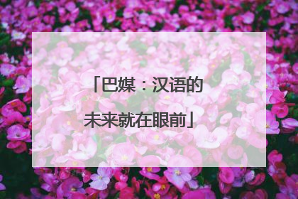 巴媒：汉语的未来就在眼前