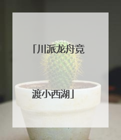 川派龙舟竞渡小西湖