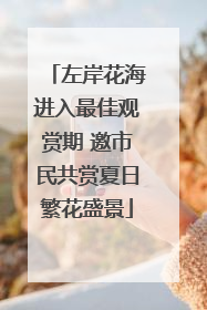 左岸花海进入最佳观赏期 邀市民共赏夏日繁花盛景