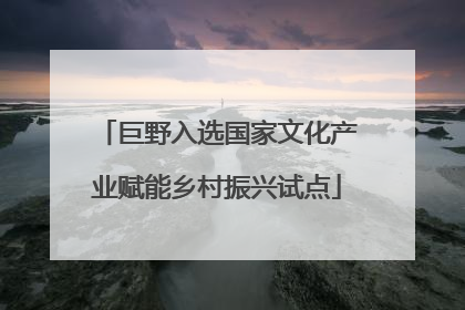巨野入选国家文化产业赋能乡村振兴试点