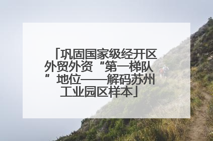 巩固国家级经开区外贸外资“第一梯队”地位——解码苏州工业园区样本