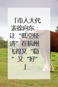 市人大代表徐向东：让“低空经济”在杭州飞得又“稳”又“好”